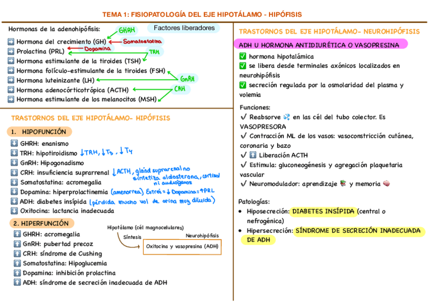 B1-T1.pdf