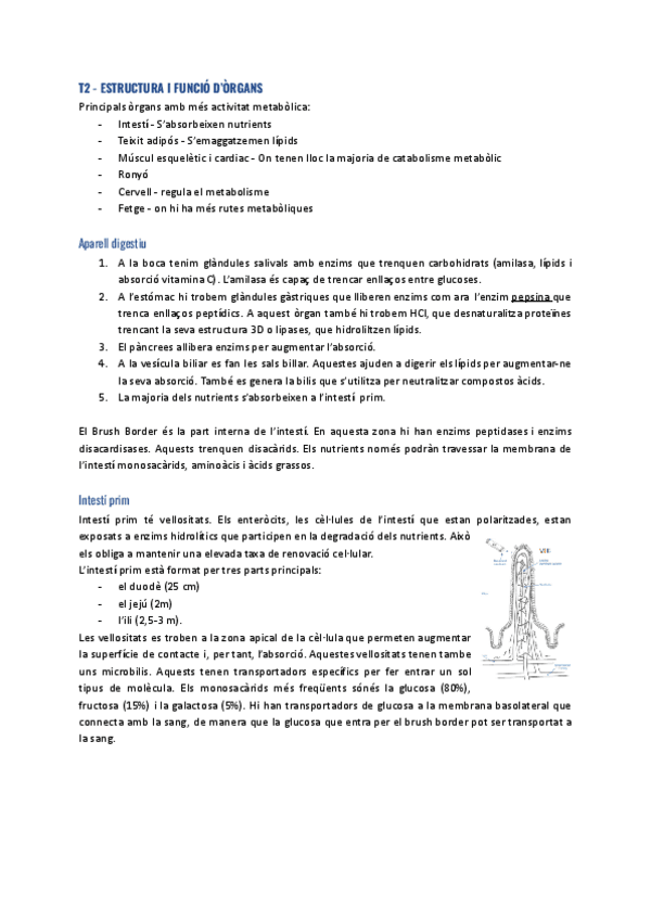 T2-Estructura-i-funcio-dorgans-i-teixits.pdf