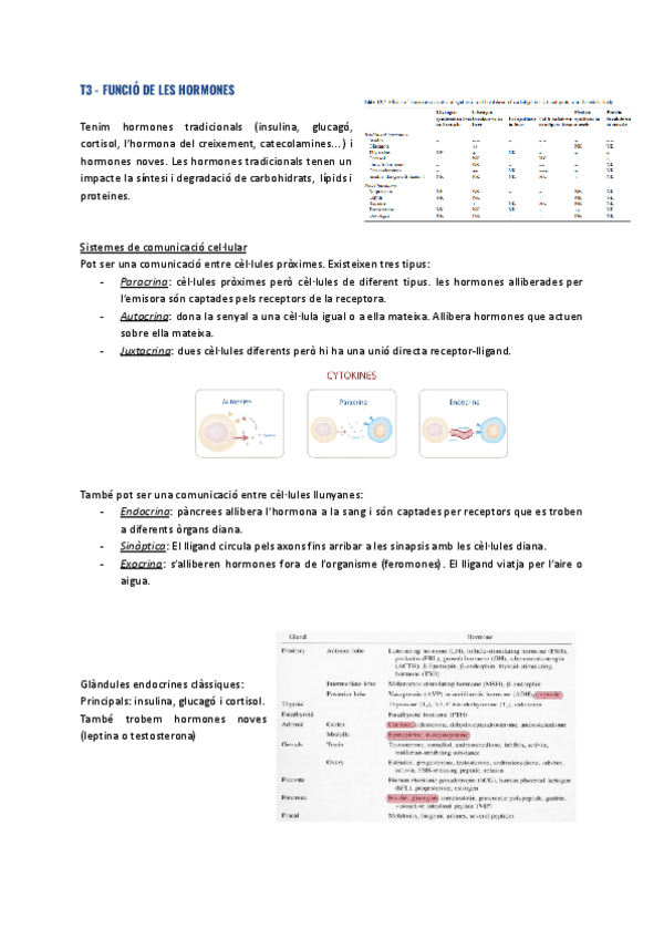 T3-Funcio-de-les-hormones.pdf