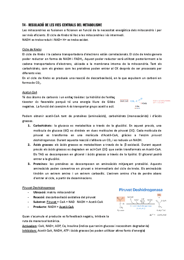 T4-Regulacio-de-les-vies-centrals-del-metabolisme.pdf