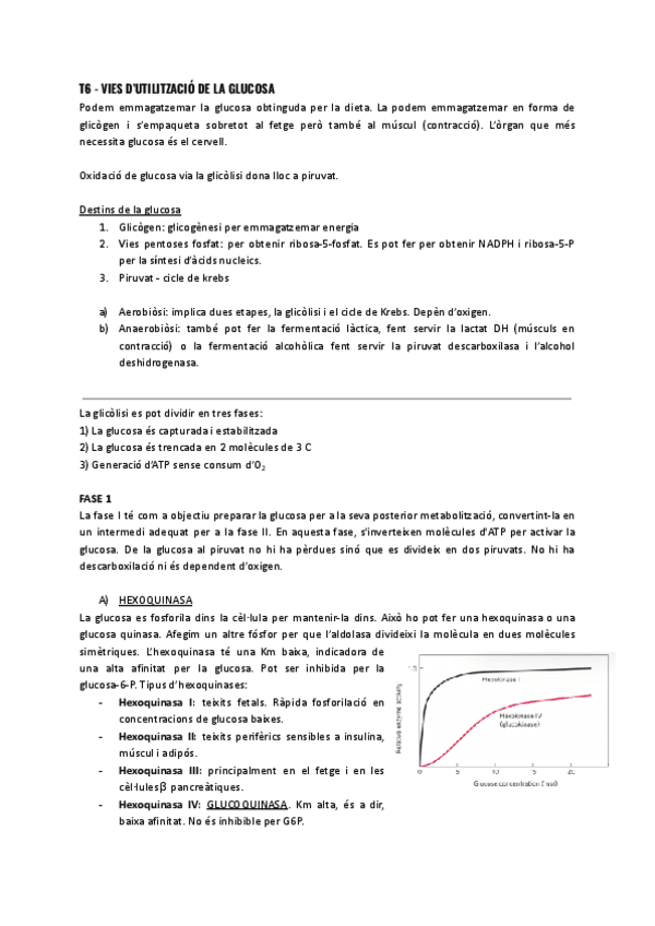 T6-Vies-dutilitzacio-de-la-glucosa.pdf