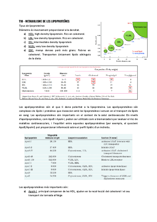 T10-Metabolisme-de-les-lipoproteines.pdf