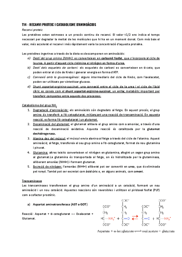T14-Recanvi-proteic-i-catabolisme-daminoacids.pdf