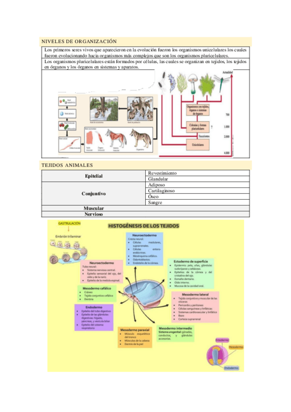 TEMA-1.-Tejido-epitelial.pdf