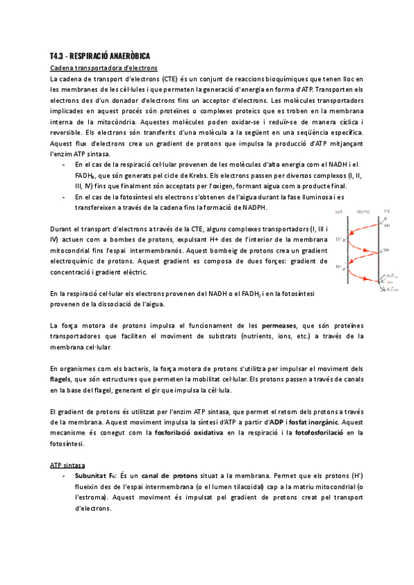 T4.3-Respiracio-anaerobica.pdf