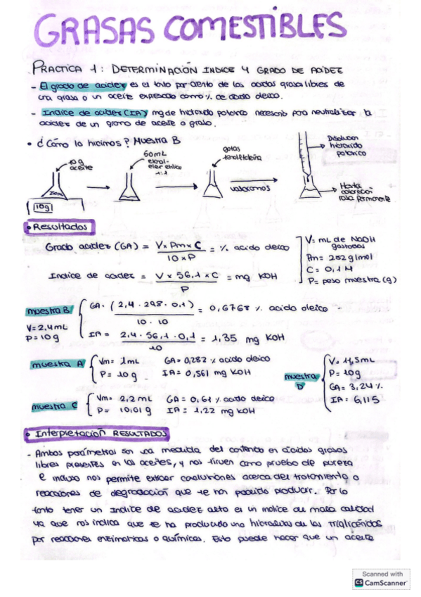 PRACTICA-2-GRASAS.pdf