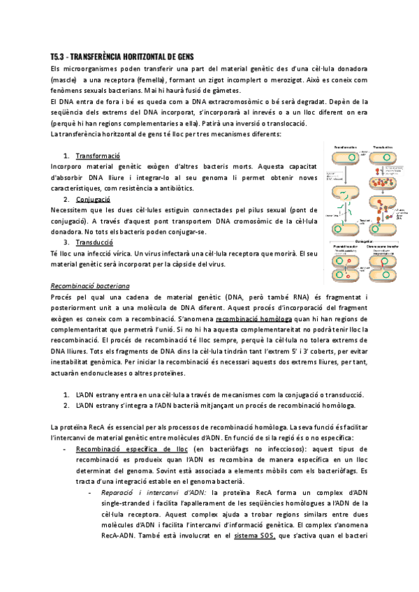 T5.3-Transferencia-horitzontal-de-gens.pdf