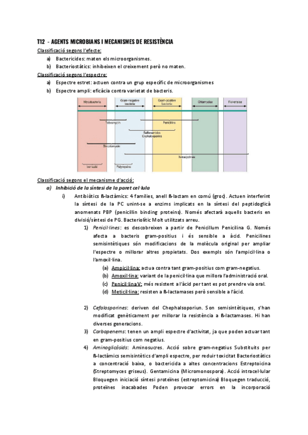 T12-Agents-antimicrobians-i-mecanismes-de-resistencia.pdf