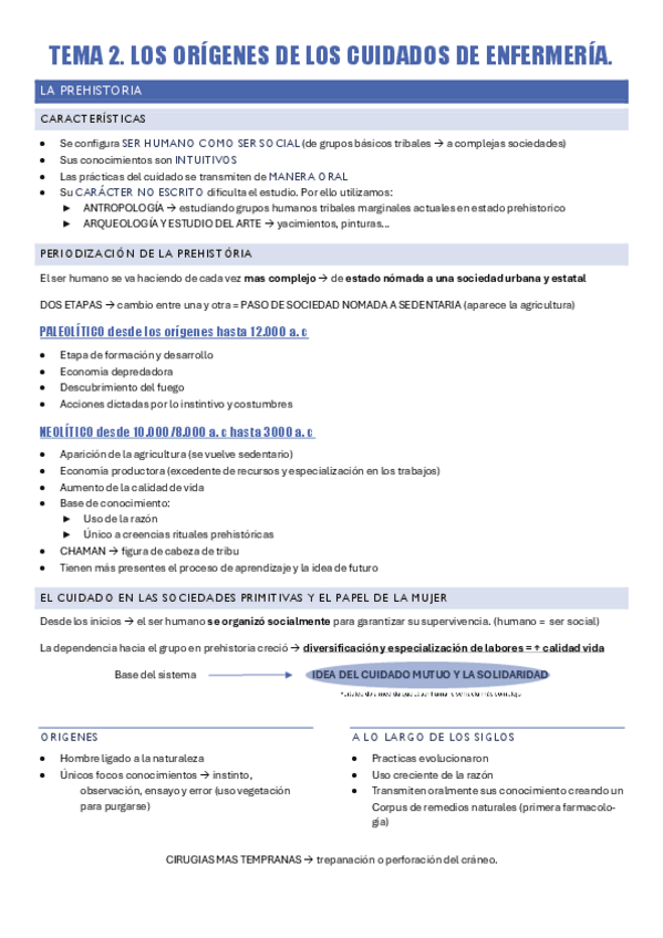 HISTORIA-TEMA-2.pdf
