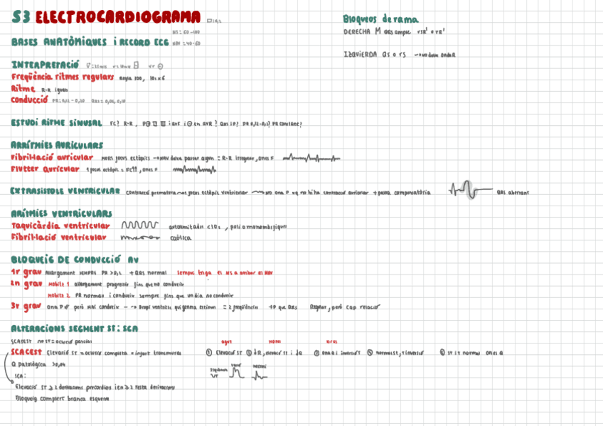 Resum-Seminari-ECG.pdf