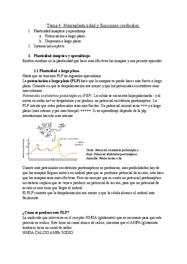 Tema-4-fisiologia-he-aprobado.pdf