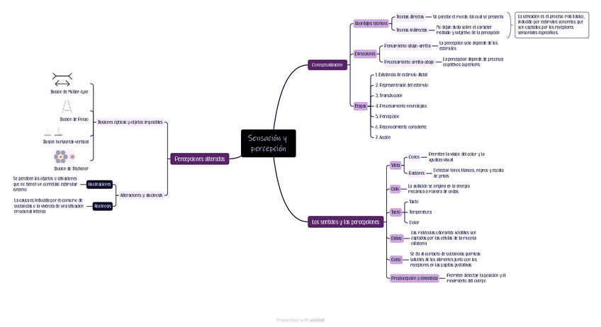 MAPAS-CONCEPTUALES-PERCEPCION-Y-ATENCION.pdf