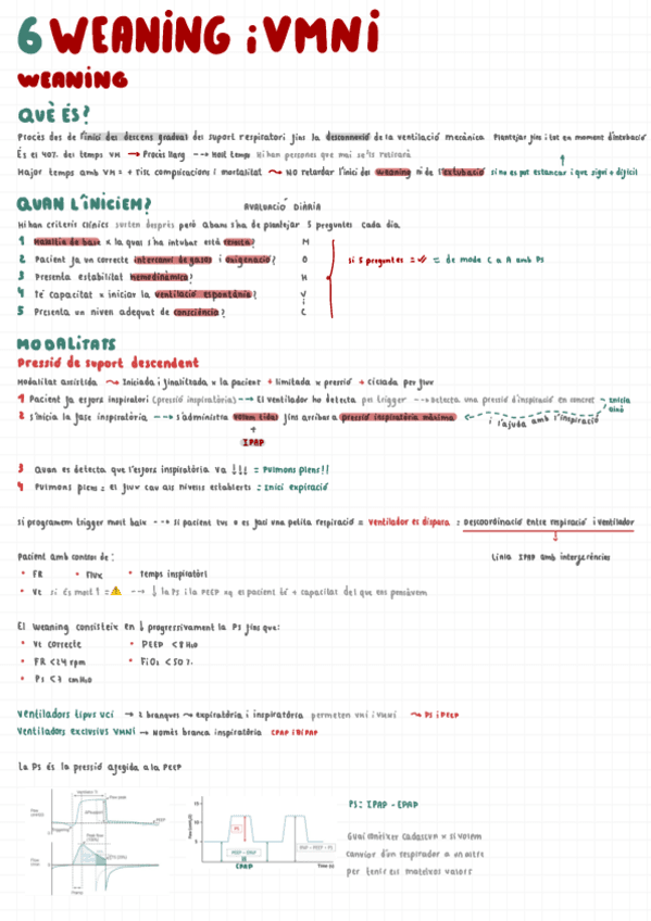Tema-6-Weaning-i-VMNI.pdf