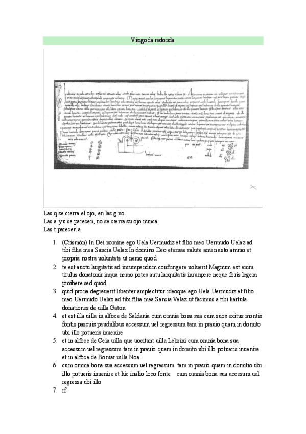 VISIGODA-LAMINAS.pdf