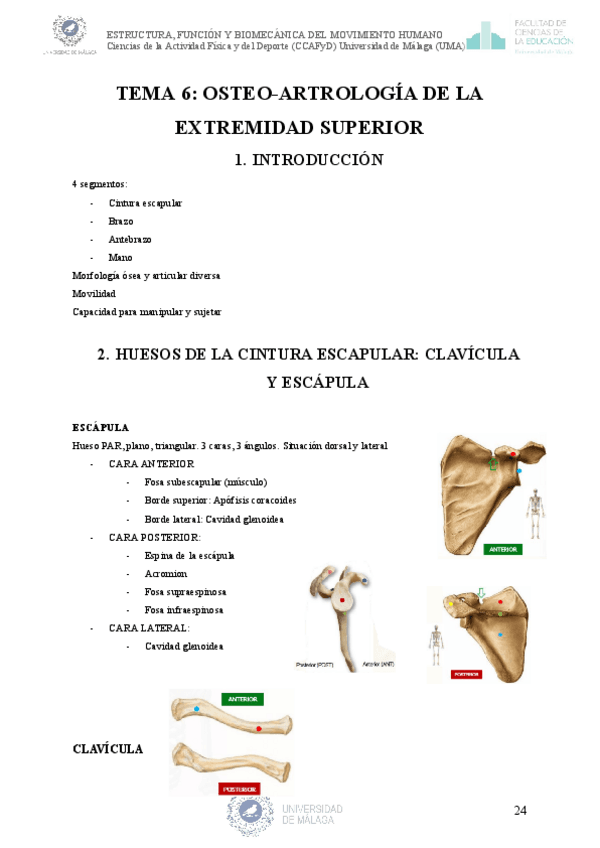 APUNTES-ESTRUCTURA-FUNCION-Y-BIOMECANICA-DEL-MOVIMENTO-HUMANO-T-6789.pdf