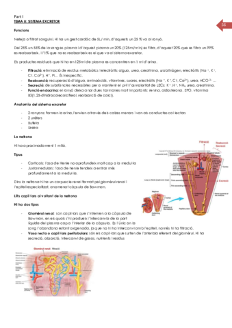 urinari carles.pdf