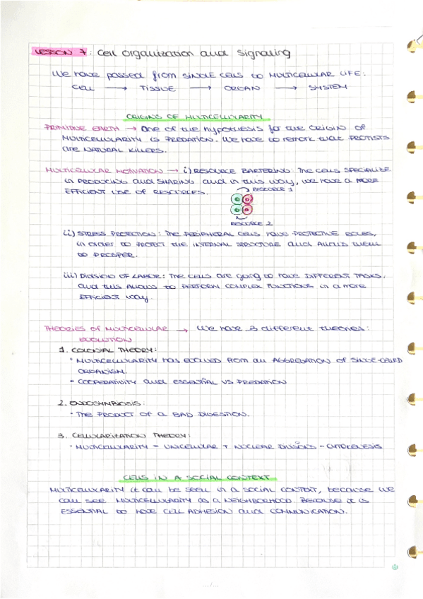 Lesson-7-Cell-Organization-and-Signaling.pdf