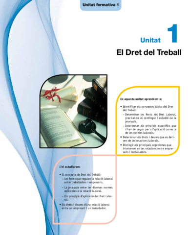 DRET DEL TREBALL.pdf