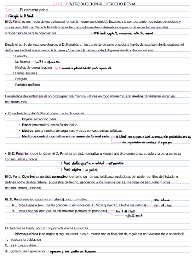 D.-Penal-parcial-1.pdf