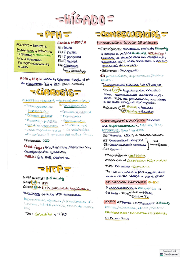 Higado-y-VesiculaVia-biliar.pdf