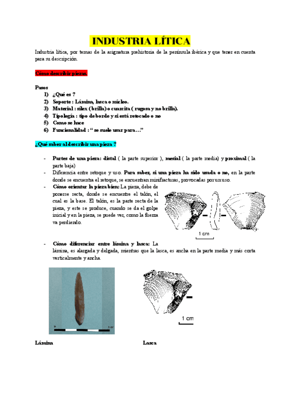 INDUSTRIA-LITICA.pdf