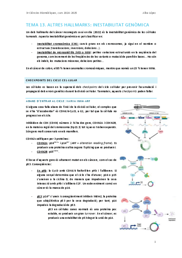 Tema-13.-Altres-hallmarks-inestabilitat-genomica.pdf