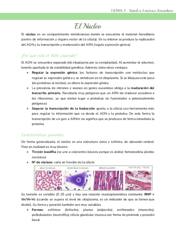 Tema-3-El-nucleo.pdf