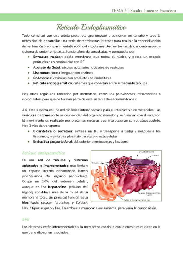 Tema-5-RE-y-RER.pdf