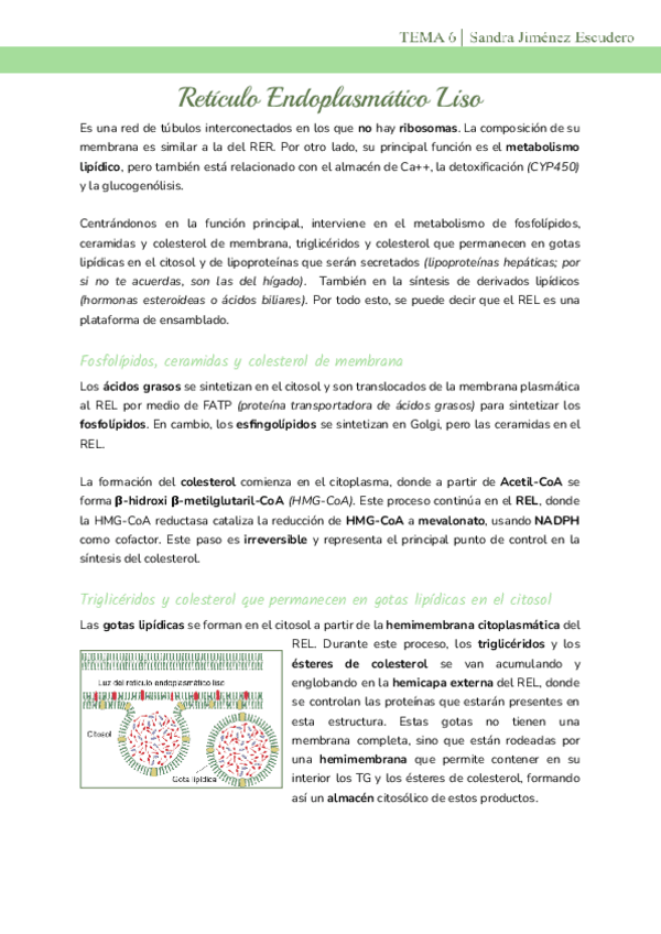 Tema-6-REL.pdf