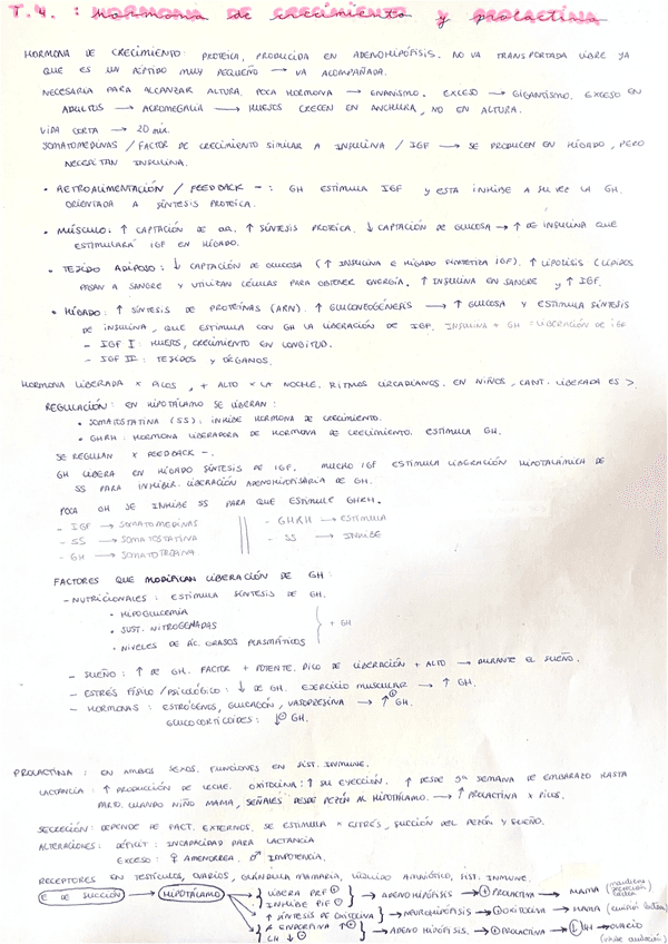 Hormona-de-crecimiento-y-Prolactina.pdf