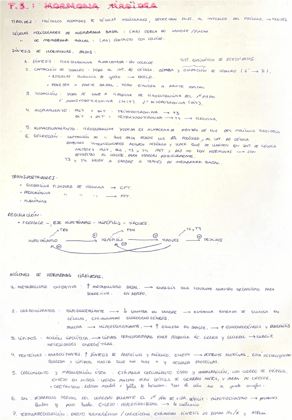 Hormona-tiroidea.pdf