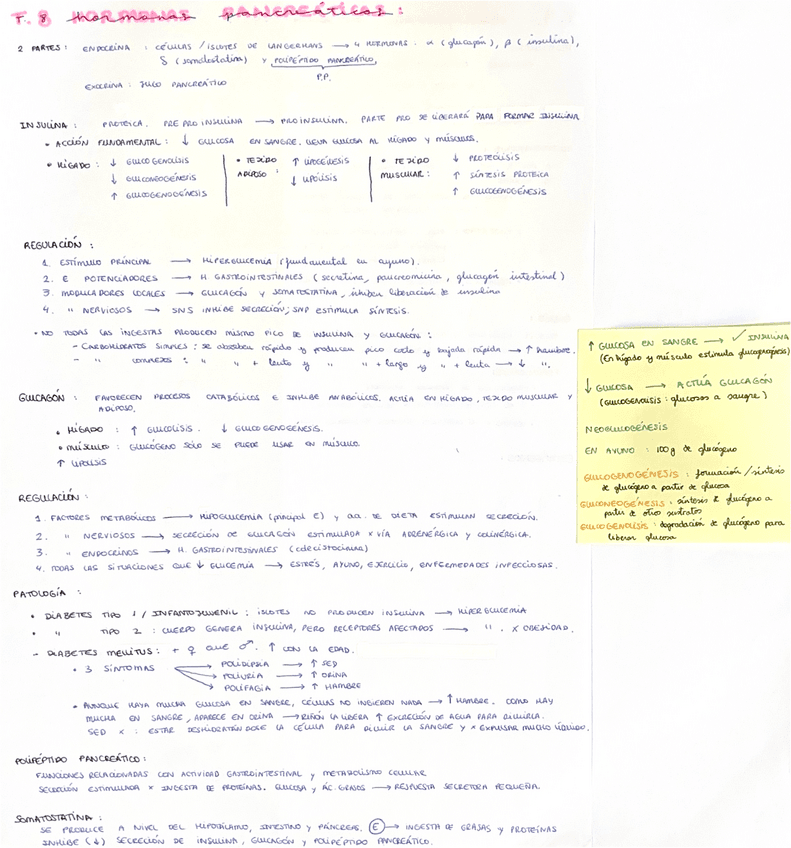 Hormonas-pancreaticas.pdf