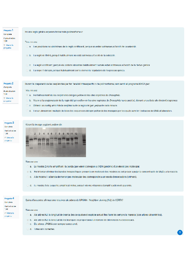 Questionari-practiques-evolucio.pdf