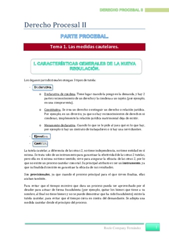 Derecho Procesal II.pdf