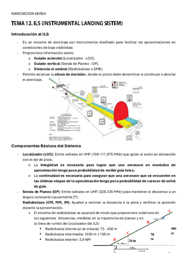 TEMA12.pdf