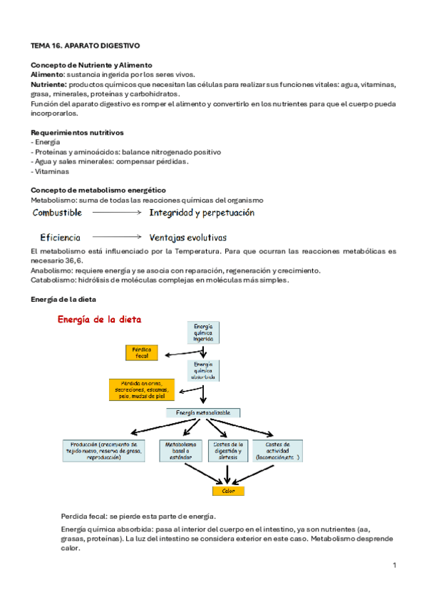 TEMA-16-fisiologia-digestivo.pdf