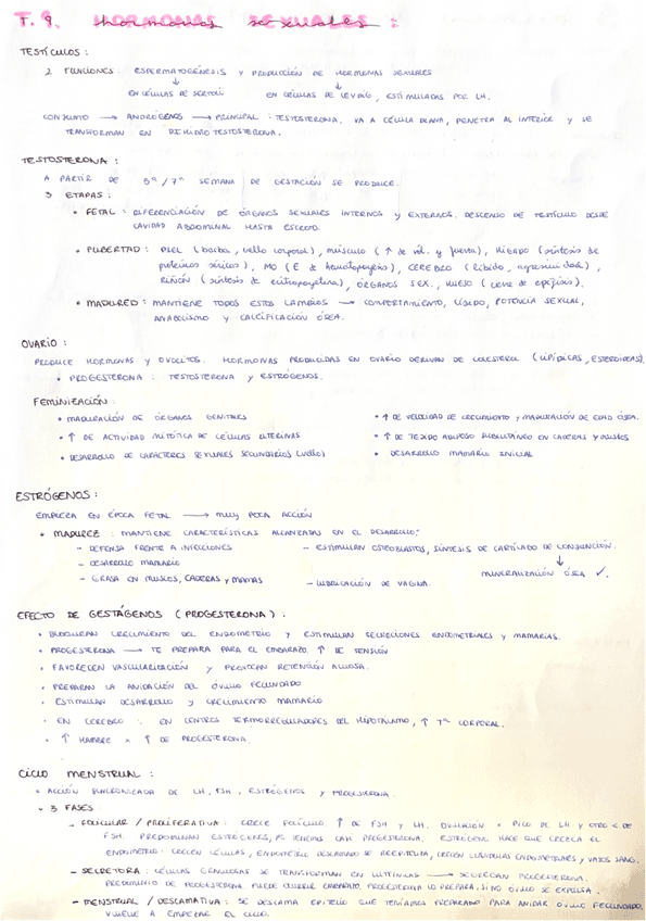 Hormonas-Sexuales.pdf