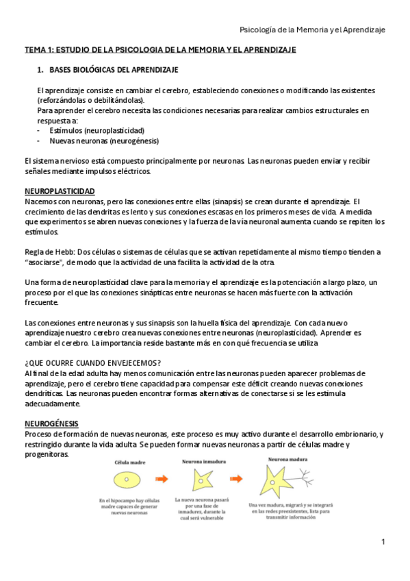 TEMA-1-y-2.pdf