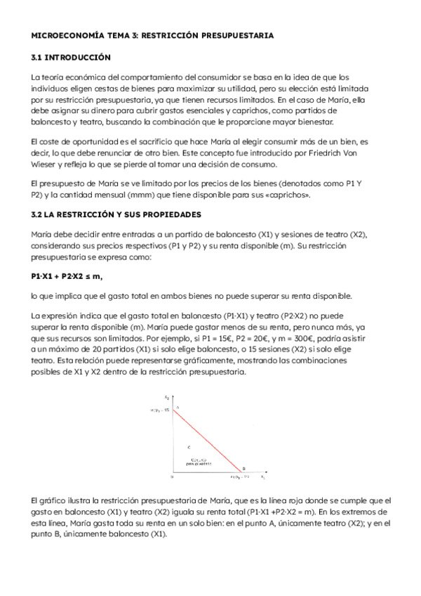 Microeconomia-Tema-3.pdf