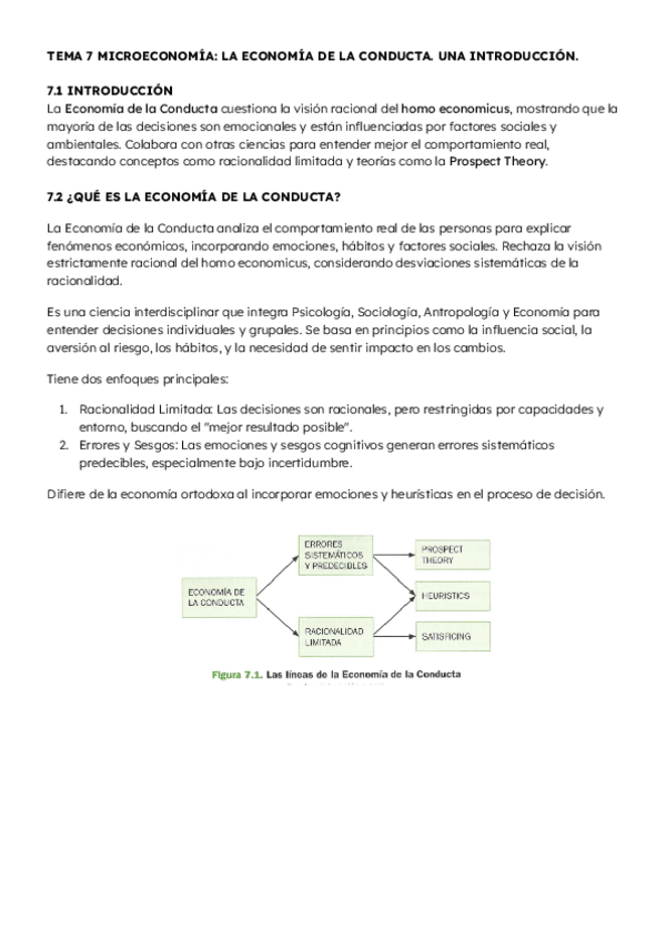 Microeconomia-Tema-7.pdf
