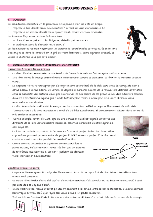 6. Direccions visuals.pdf