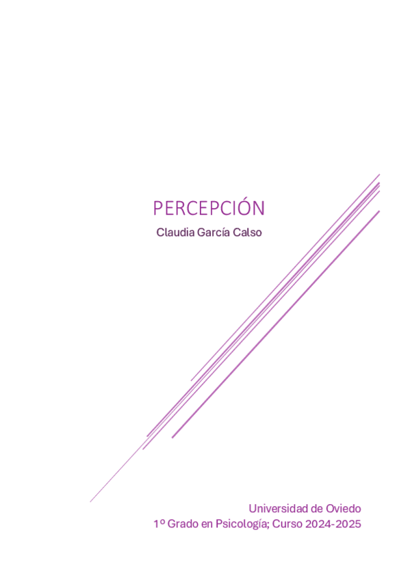PERCEPCION-2024-2025.pdf