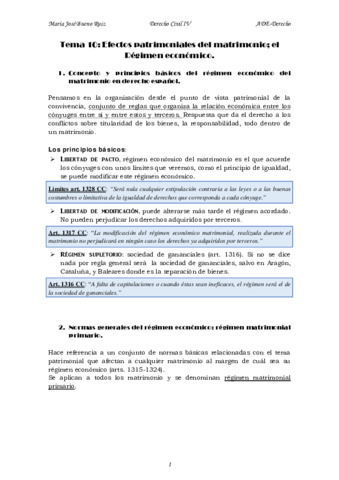 tema 10 Civil IV.pdf