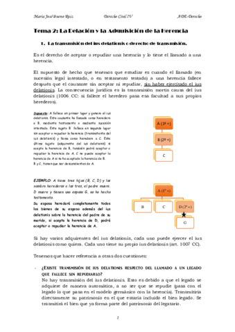 tema 2 civil IV.pdf