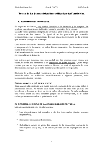 tema 8 Civil IV.pdf