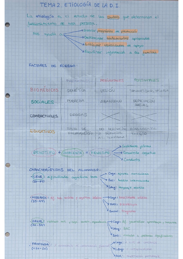 Tema-2.-ETIOLOGIA-DE-LA-DISCAPACIDAD-INTELECTUAL.pdf