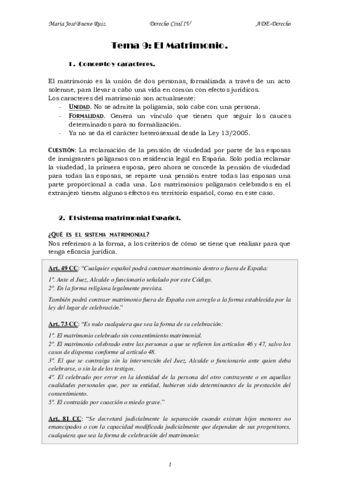 tema 9 civil IV.pdf