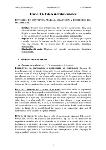 tema 13 Civil IV.pdf