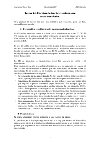 tema 14 Civil IV.pdf