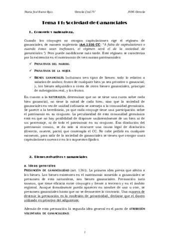 tema 11 Civil IV.pdf